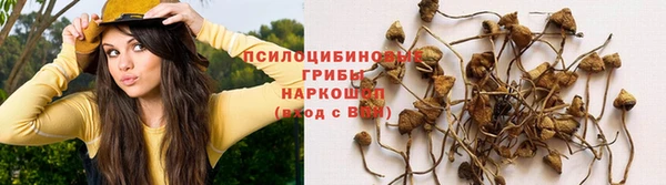 МДМА Армянск
