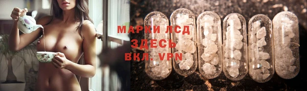 сатива Арсеньев