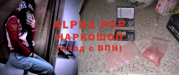 сатива Арсеньев
