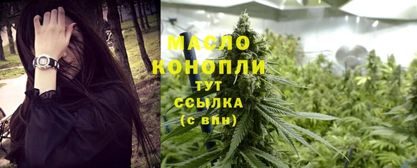 сатива Арсеньев