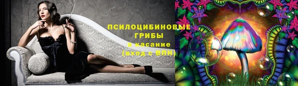 дмт Аркадак