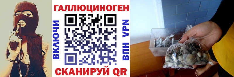 Псилоцибиновые грибы ЛСД  наркотики  Заполярный 